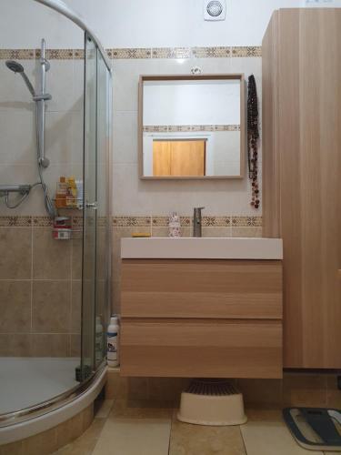 uma casa de banho com um lavatório, um chuveiro e um espelho. em Beautiful 100 m² in the Heart of Paris em Paris