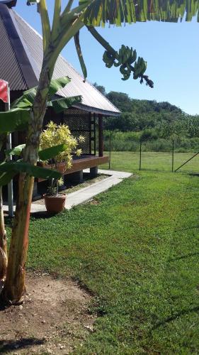 a picnic table in a field next to a tree at Raiatea Airport Bungalow in Uturoa