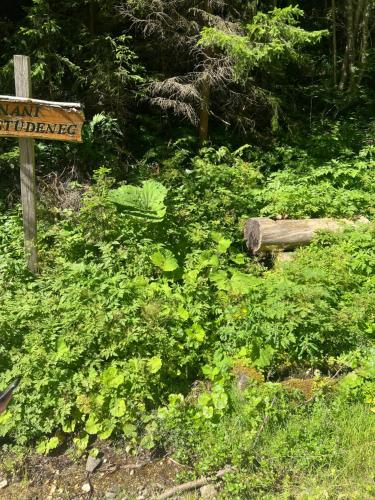 a sign in the middle of a field of plants at Črjanski Raj in Črna na Koroškem