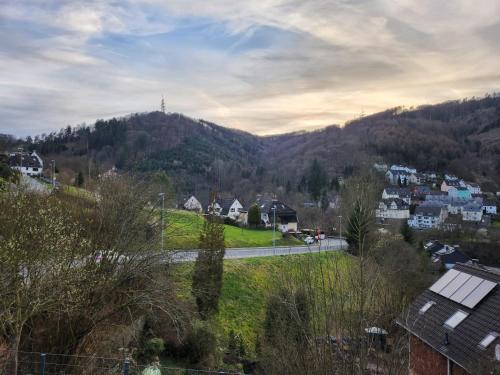a view of a town with a mountain at FeWo Monteurwohnung Altena - Breitenhagen in Altena