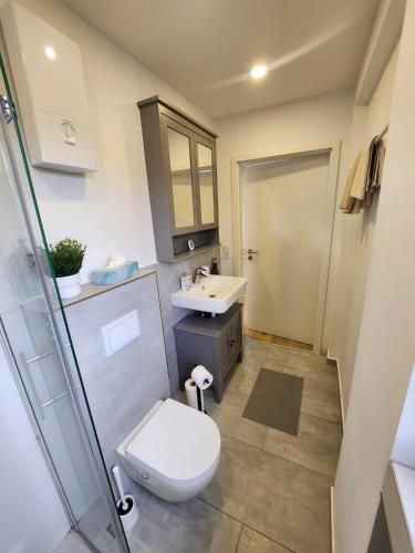 a bathroom with a toilet and a sink at FeWo Monteurwohnung Altena - Breitenhagen in Altena