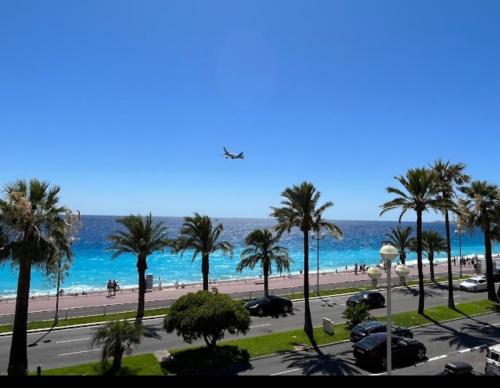an airplane is flying over a beach with palm trees at Hotel Flots d'Azur in Nice