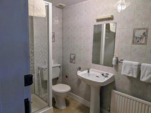 y baño con aseo, lavabo y ducha. en Graham Arms Inn, en Longtown
