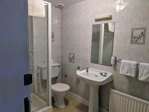 a bathroom with a toilet and a sink and a shower at Graham Arms Inn in Longtown