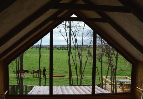 a window in a cabin with a horse in a field at Zasavčanka in Sremska Mitrovica