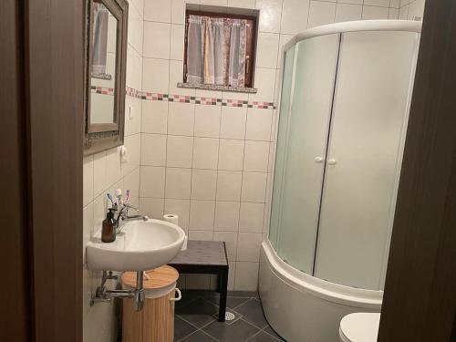 a bathroom with a shower and a sink and a tub at Vrata Plešivice in Prhoč