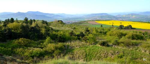 a hillside with a yellow rapeseed field and mountains at Maison du vigneron Saint-Martin in Le Cendre