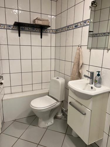 Baño blanco con aseo y lavamanos en Apartment with Wifi, close to city center, Beach and forrest en Aabenraa