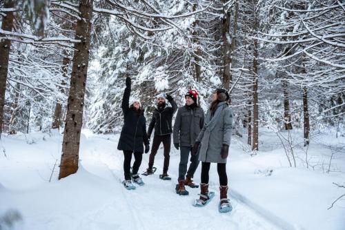 a group of people on skis in the snow at Bee Private Hot Tub Sauna Ski, Snowshoes in Mille-Isles