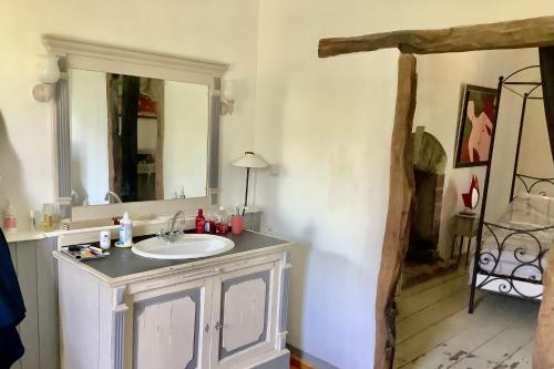 卡爾艾普盧蓋的住宿－MAISON DE MAÎTRE ECLUSIER，一间带水槽和镜子的浴室