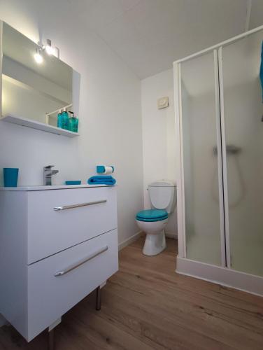 une salle de bain avec toilettes, lavabo et douche dans l'établissement T2 jardin privatif et accès piscine, à Ploeren