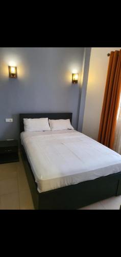 - un lit dans une chambre avec 2 oreillers dans l'établissement N et M Inn - Hébergement, à Nsazomo