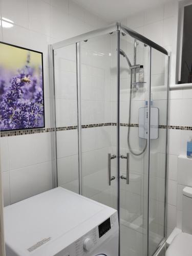 Un baño con ducha, inodoro y lavabo. en Nice, en Torquay