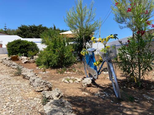 Κήπος έξω από το VILLA LUCIA