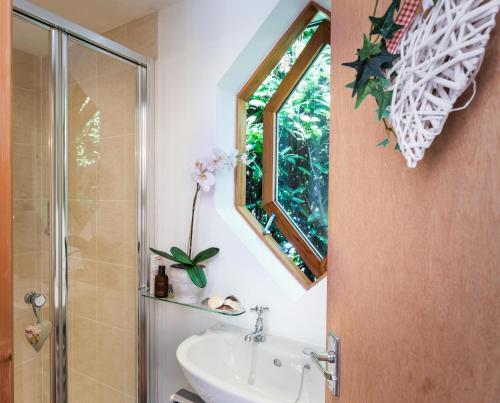 a bathroom with a sink and a shower and a mirror at The Chandlery Shack, Cosy sleeps 2 Lyme Regis in Lyme Regis