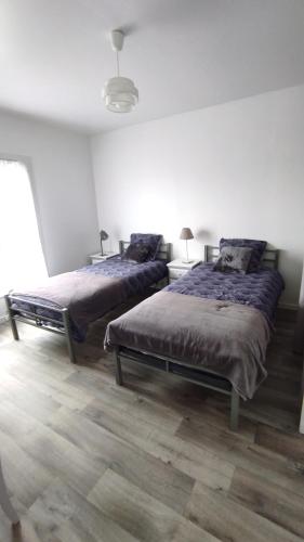 a bedroom with two beds and a lamp on the floor at Les Bordaiseries in La Réorthe