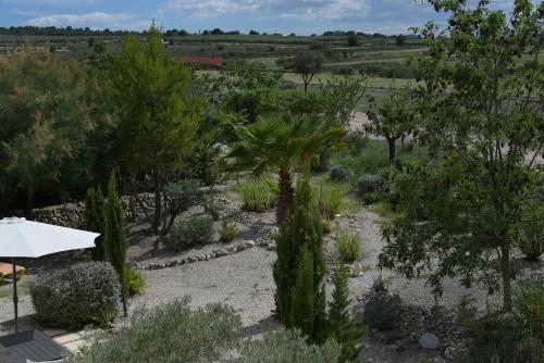 un jardín con una sombrilla blanca y árboles en PALMITO, en Villena