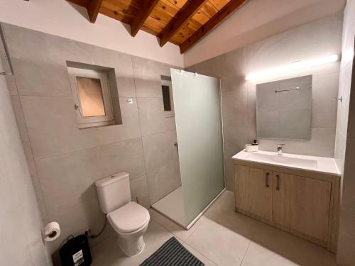 een badkamer met een toilet, een wastafel en een douche bij The Courtyard Episkopi Guest Houses in Episkopi Lemesou