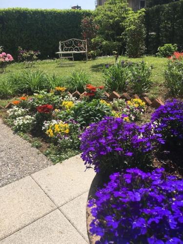 a garden of flowers with a bench in the background at CasaNobile - Suite Il Grano in Merate