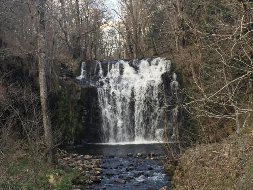 Galeriebild der Unterkunft Auberge la grange in Égliseneuve-dʼEntraigues