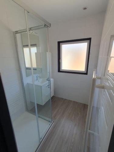 La salle de bains en verre est pourvue d'un lavabo et d'un miroir. dans l'établissement Duplex T3 Hypercentre 65m², à Voiron