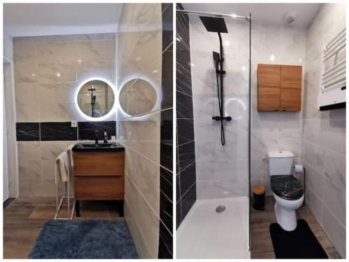 een badkamer met een douche, een toilet en een wastafel bij Le Ponton des Sympetrums in Aurec-sur-Loire