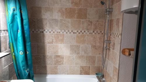 Joli studio avec balcon donnant sur la montagne في سانت-ماري-دي-كامبان: دش مع ستارة دش زرقاء في الحمام