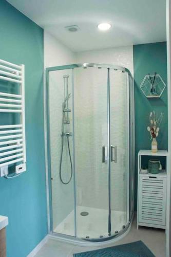 La salle de bains est pourvue d'une douche dans un mur bleu. dans l'établissement Appartement 5min aéroport CDG, au Mesnil-Amelot