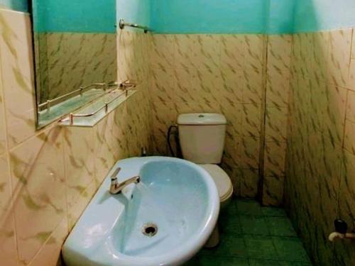 y baño con lavabo y aseo. en kithulgala Green Rafting Hotel en Kitulgala