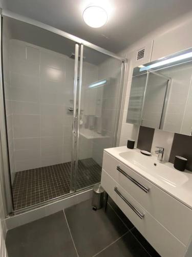 une salle de bain avec une douche en verre et un lavabo dans l'établissement Appartement Perret vue sur mer, au Havre