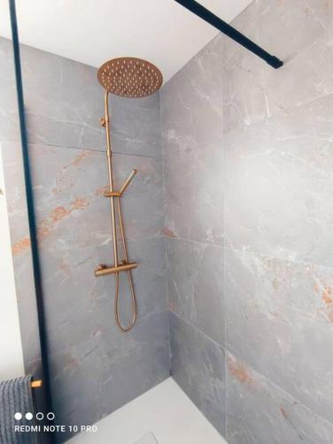 une douche avec pommeau de douche dans une salle de bain dans l'établissement Le Précieux, à Fécamp