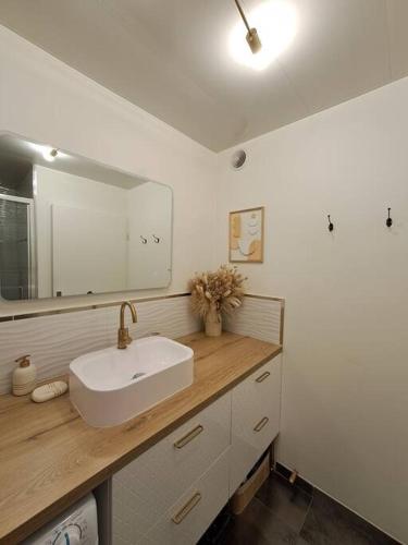 une salle de bain avec un lavabo et un miroir dans l'établissement Appartement cosy à Créteil., à Créteil