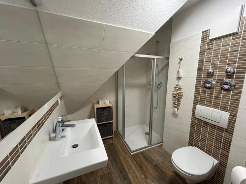 a bathroom with a sink and a shower and a toilet at K&S Ferienwohnungen in Dierhagen
