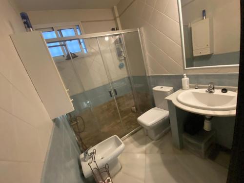 uma casa de banho com um WC, um lavatório e um chuveiro em Habitacion privada en un dúplex em Sevilha