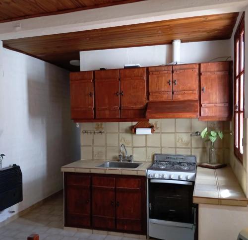 cocina con armarios de madera, fregadero y fogones en Departamento con jardín Centro Luján de Cuyo en Luján de Cuyo