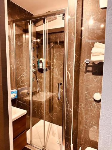 une salle de bain avec une douche en verre avec un lavabo dans l'établissement Ryan Homes Studio - in Aparthotel, La Défense, à Courbevoie