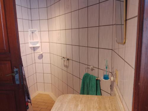 a bathroom with a shower and a green towel at Montevideo Hostel in Montevideo