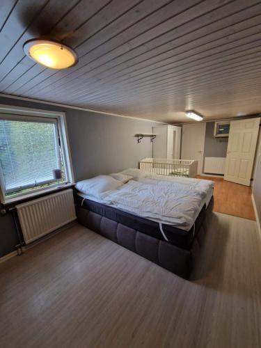 a bedroom with a large bed in a room at Ferienhaus Kronenpark, Angelcamp mit Angelboot, Kanus, Fahrräder, Jakuzzi, uvm. in Bromölla