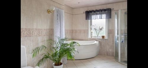 a bathroom with a tub and a plant in it at Ferienhaus Kronenpark, Angelcamp mit Angelboot, Kanus, Fahrräder, Jakuzzi, uvm. in Bromölla