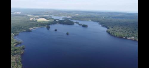 arial view of a large lake with trees in the water at Ferienhaus Kronenpark, Angelcamp mit Angelboot, Kanus, Fahrräder, Jakuzzi, uvm. in Bromölla