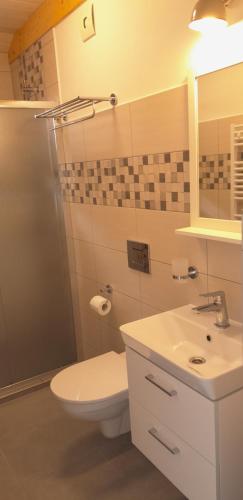 a bathroom with a toilet and a sink at Ubytování Na sklepě u Procházků in Pouzdřany