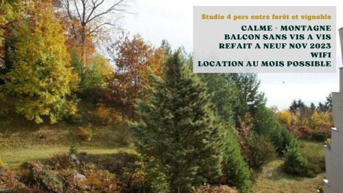 Studio entre forêt et vignoble !
