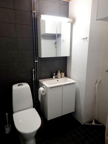a bathroom with a white toilet and a sink at Villa Kaisla in Raahe