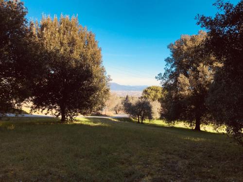a field of grass with trees and a blue sky at Residenza dei Piaceri Perduti-Rosa in Lastra a Signa