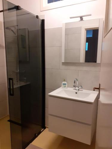 a bathroom with a sink and a shower at Logement Hartsuiker in Hoogeveen