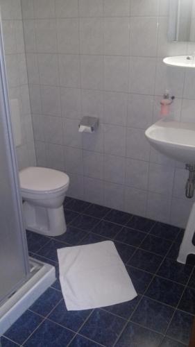 a bathroom with a toilet and a sink at Pension Kreuzberghof in Großklein