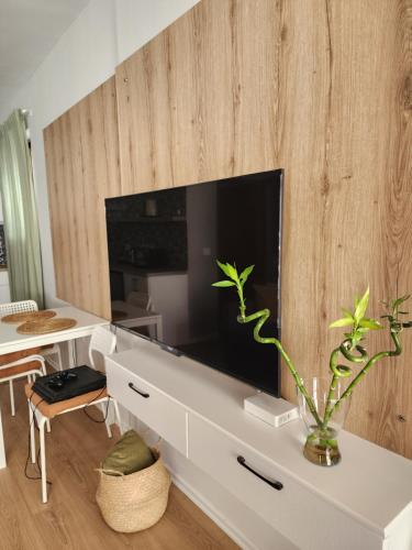 TV a/nebo společenská místnost v ubytování Dhami Apartment