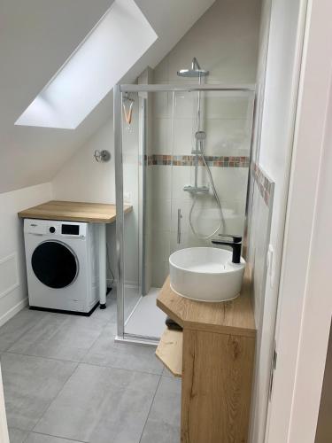 une salle de bain avec un lavabo et une machine à laver dans l'établissement Appartement Cosy, Résidence de l’Ecluse, à Arques