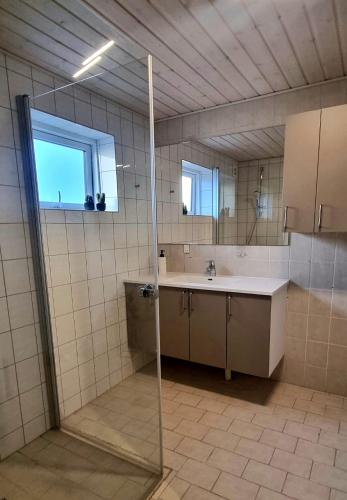 y baño con ducha, lavabo y espejo. en Annes Hus en Rødekro