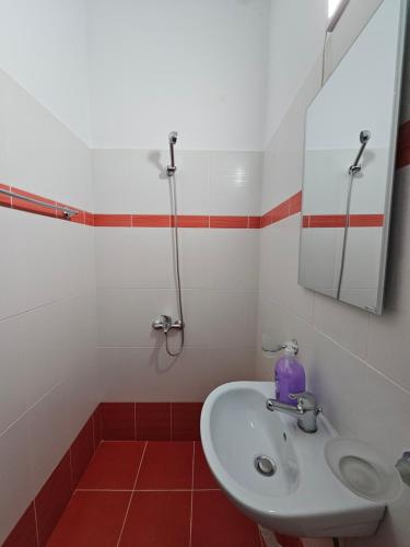 a bathroom with a sink and a shower at Guest House Bledar in Ksamil